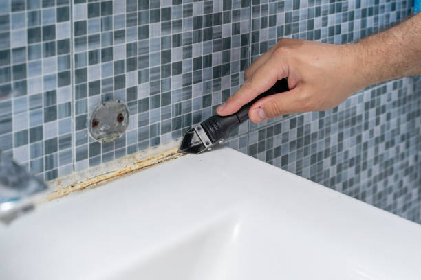 Best Home Mold Removal  in Burwell, NE