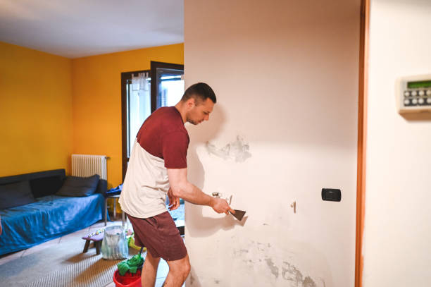 Best Mold Removal Company Near Me  in Burwell, NE